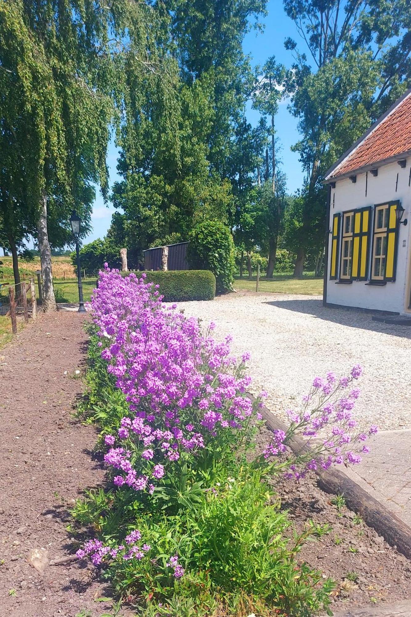 B&B De Nieuwe Stal Scherpenisse Exterior foto